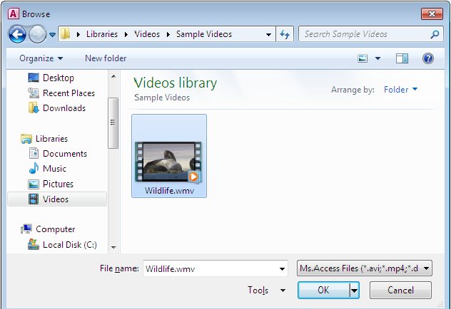 Video player implementation using Access VBA Fig-1.2